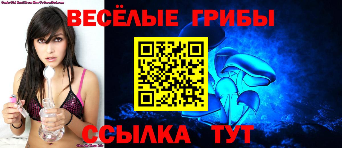 где купить наркотик  Псилоцибиновые грибы мицелий  Вход с VPN  Псилоцибиновые грибы мухоморы  Кимовск 
